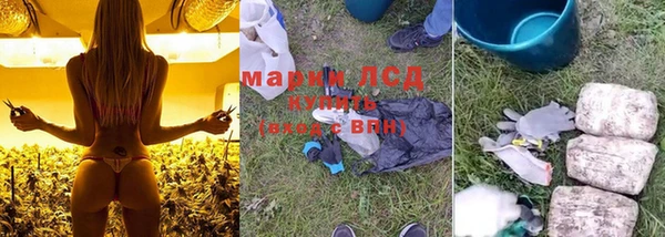трава Семилуки